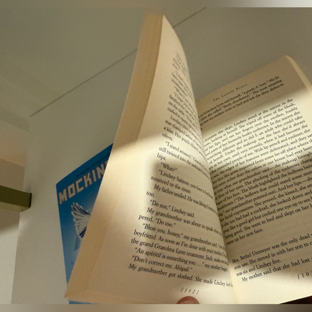 New: Mockingjay by Suzanne Collins + The Lovely Bones by Alice Sebold - Picture 5 of 6